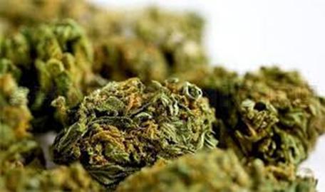 Наркотики марихуана последствия тор браузер принадлежит hydra2web
